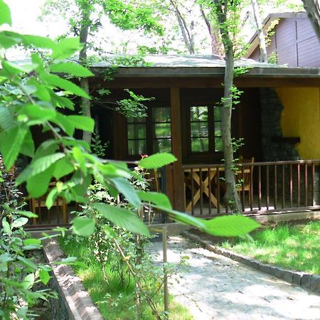 Dolunay Fanizan Hotel Fatsa Exteriér fotografie