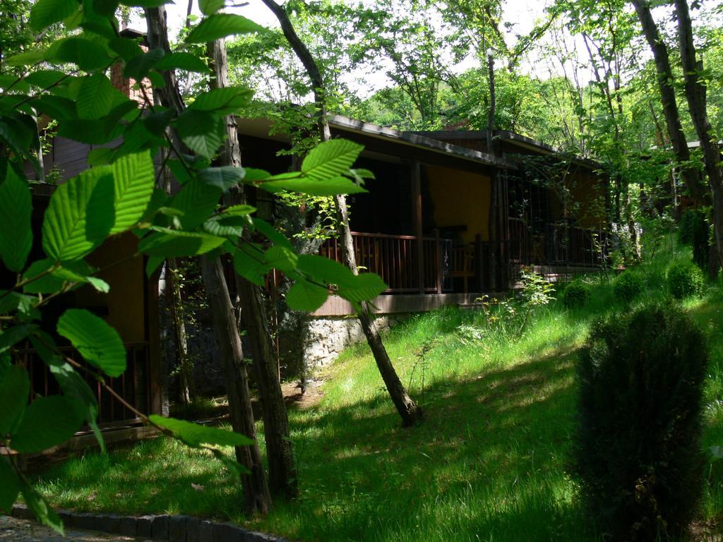 Dolunay Fanizan Hotel Fatsa Pokoj fotografie